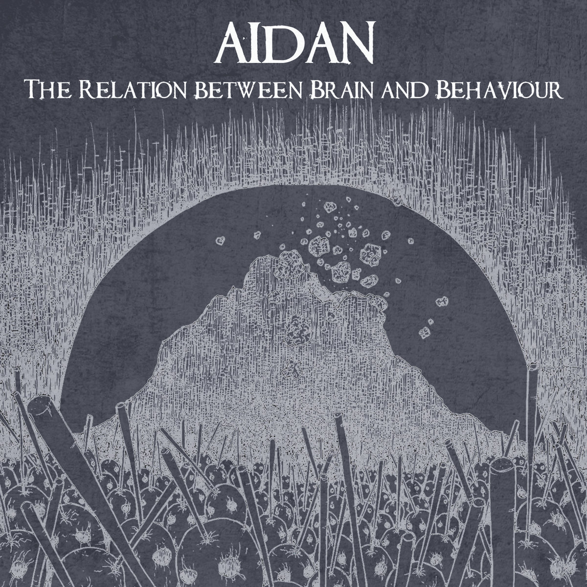 AIDAN – The Relation Between Brain And Behaviour