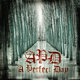 A PERFECT DAY – A Perfect Day