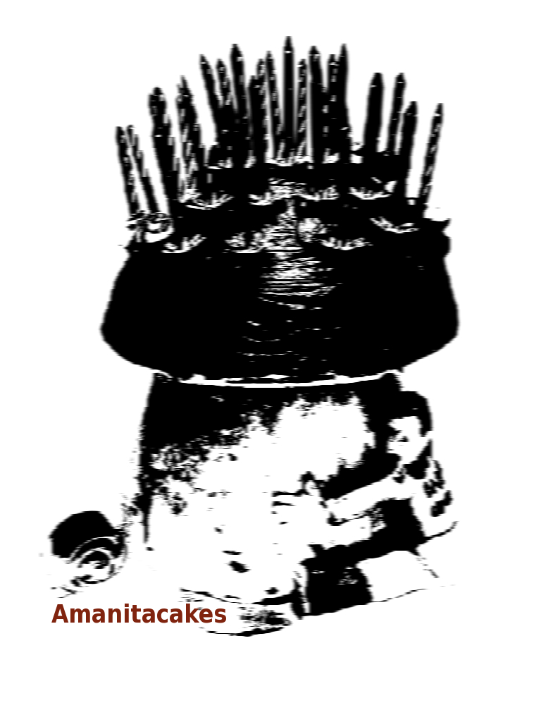 AMANITACAKES – Promo 2013