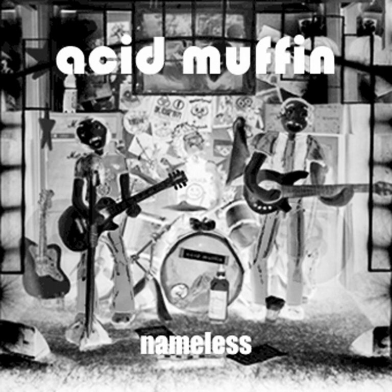 ACID MUFFIN – Nameless