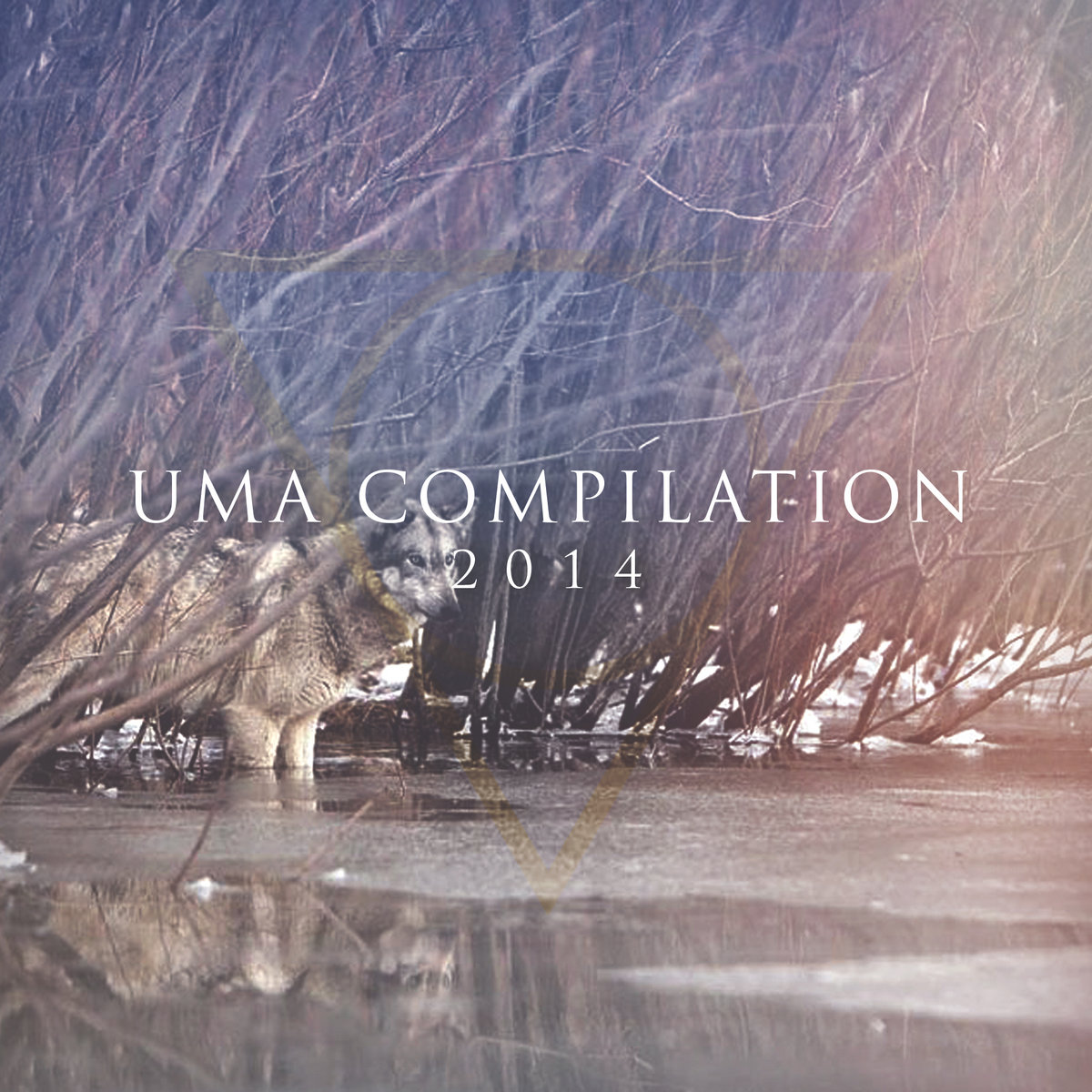 AA.VV. – UMA Compilation 2014