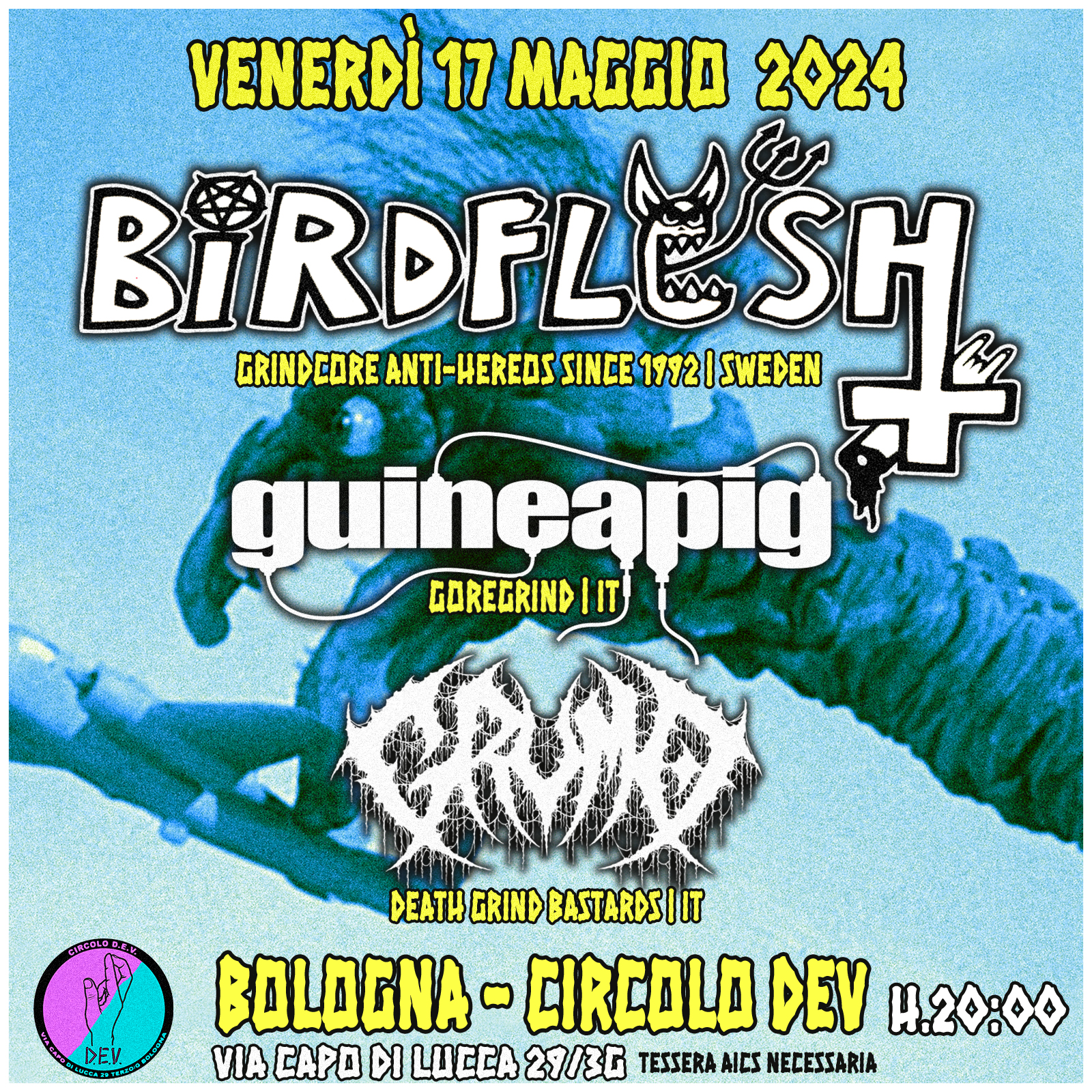 Birdflesh (Sweden) + Guineapig (IT) + Grumo (IT) @ Circolo DEV – Bologna
