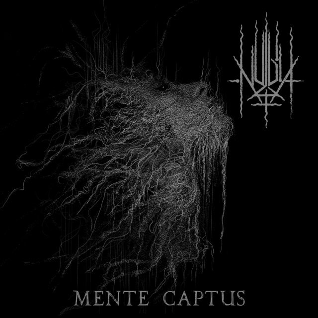 ‘Mente captus’ è il nuovo album dei Nulla+, in uscita il 15 marzo 2024 per These Hands Melt.