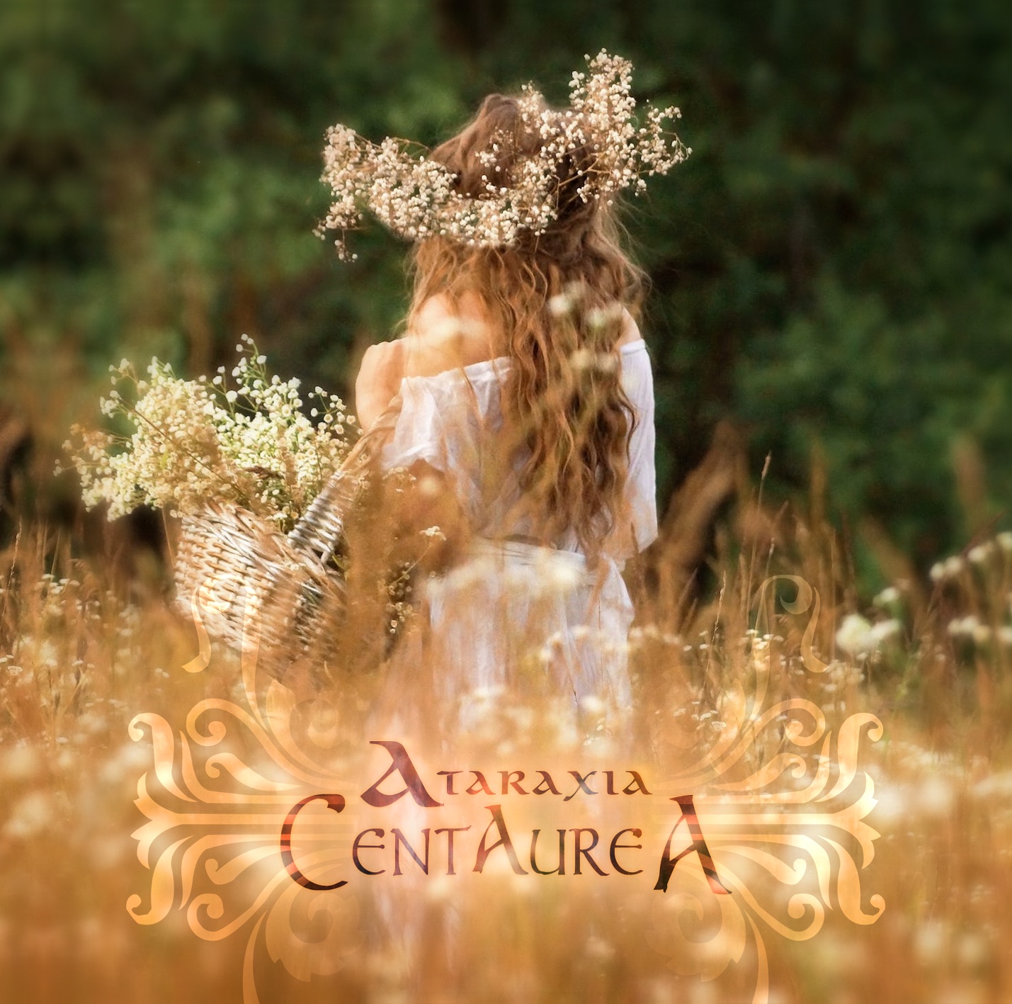 ‘Centaurea’ è il nuovo album degli Ataraxia, in uscita il 22 maggio 2024 per The Circle Music.