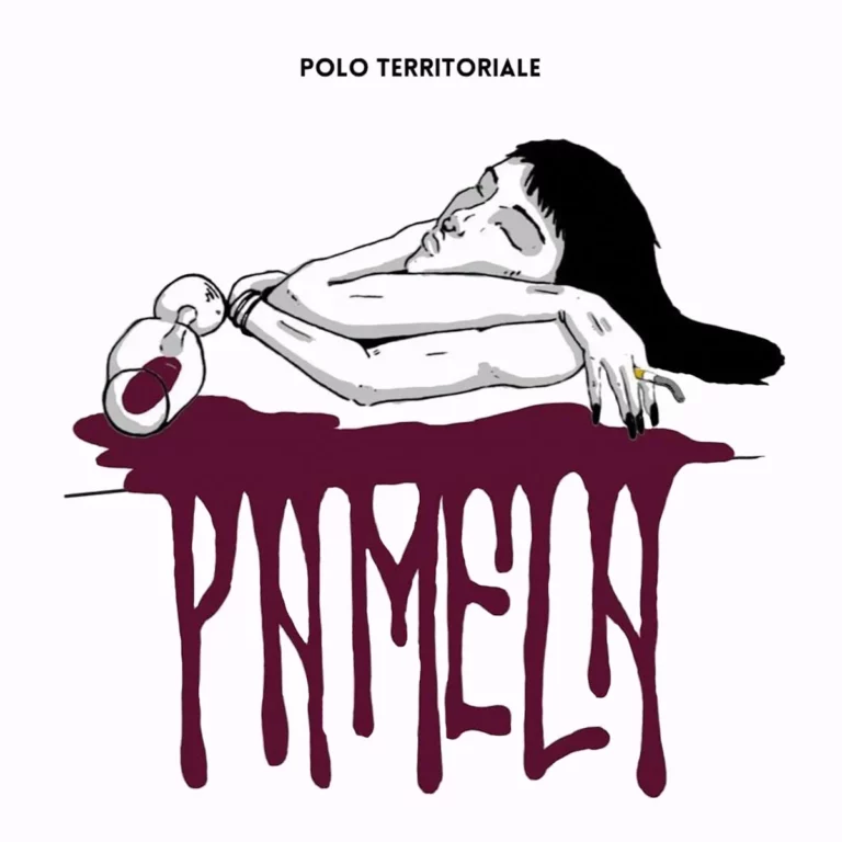 POLO TERRITORIALE: dal 31 maggio in radio il nuovo singolo “PAMELA”. Annunciati i live