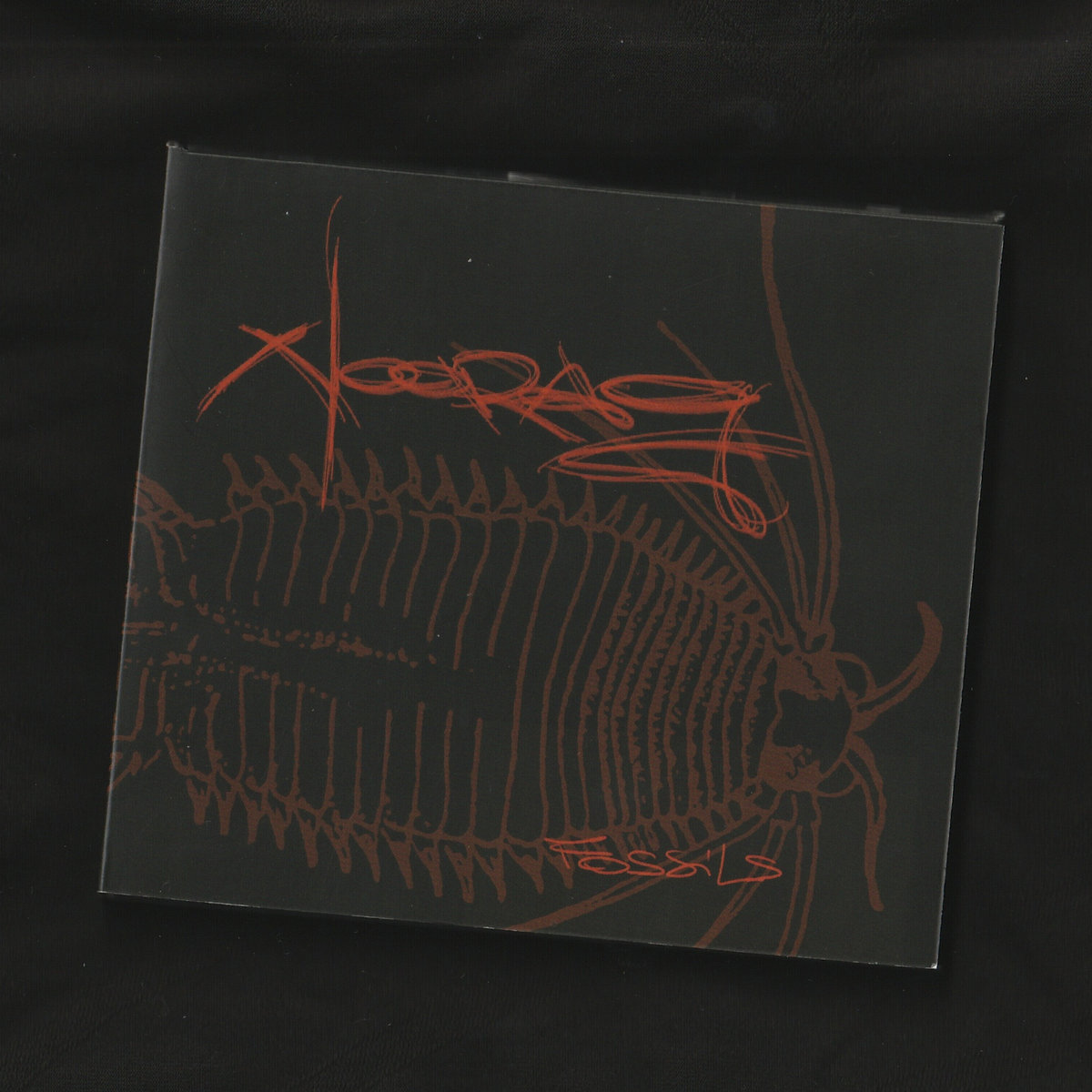 NOORAG – Fossils