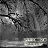 WEEPING WILLOW – Weeping Willow