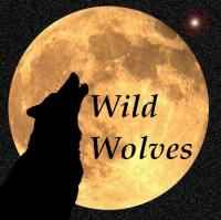 WILD WOLVES – Wild Wolves