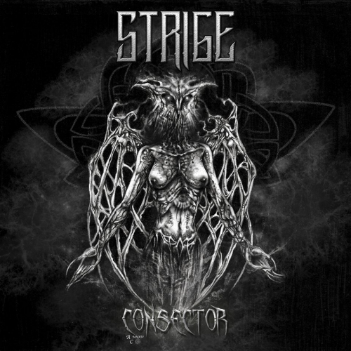 STRIGE – Consector