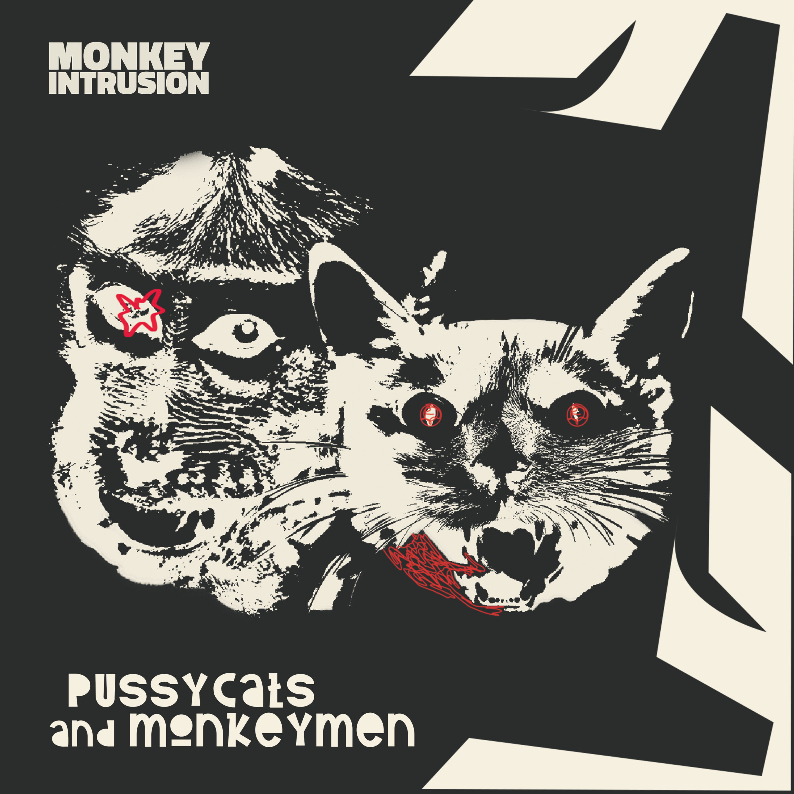 MONKEY INTRUSION – Pussycats and Monkeymen