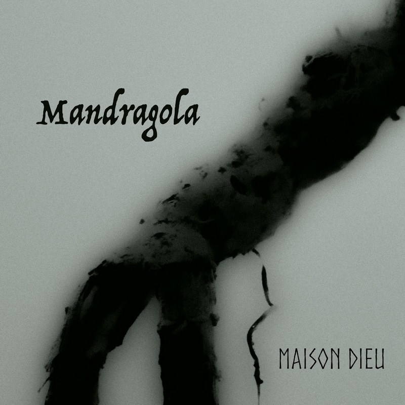 MAISON DIEU Release New Single/Official Video ‘Mandragola’