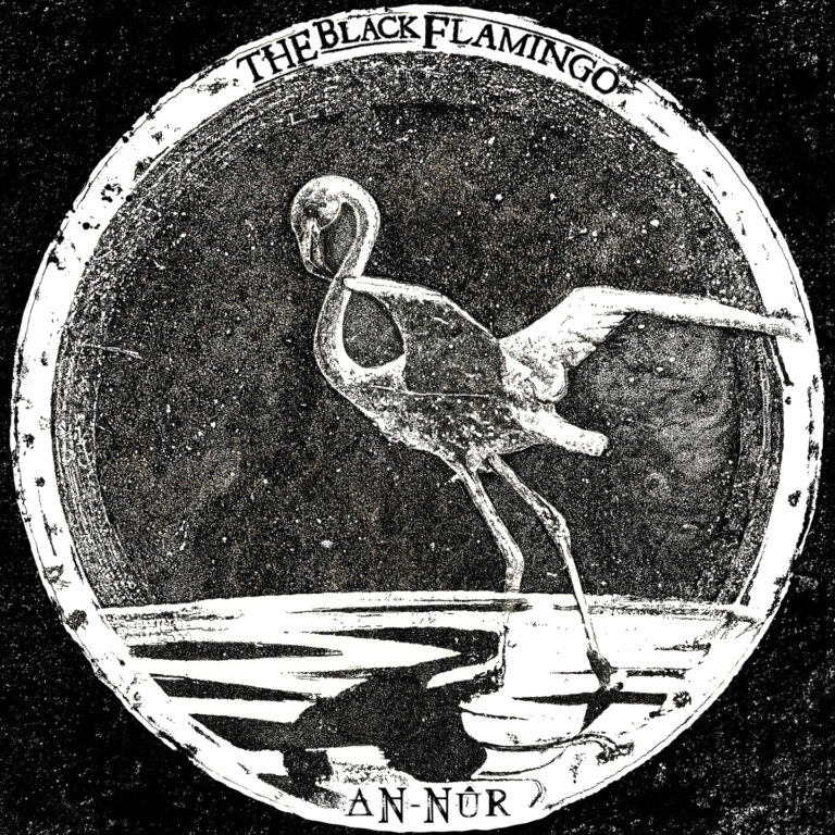 THE BLACK FLAMINGO – An-nûr